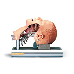 ��ܲ��Ӗ(x��n)��ģ��