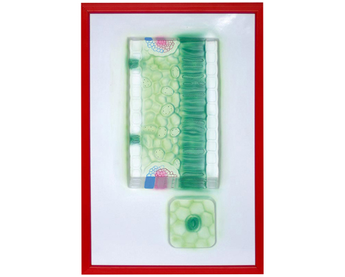 �~��(g��u)�측��ģ��