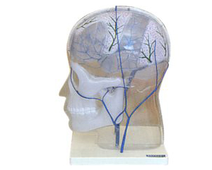 �B�����o�}�Ǻ�ģ��