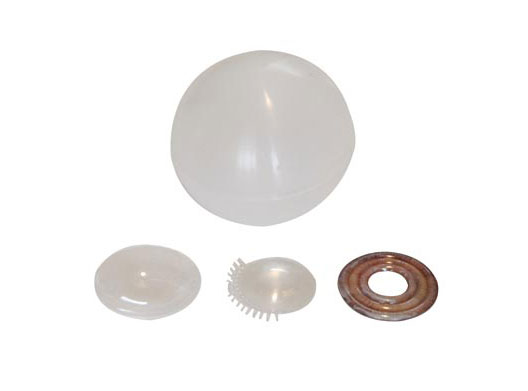 �����w����Ĥ����Ĥ�������w