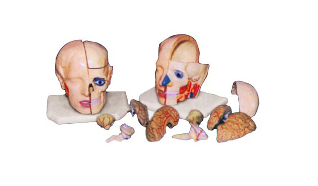 �^���ʸ��Xģ�ͣ�10������