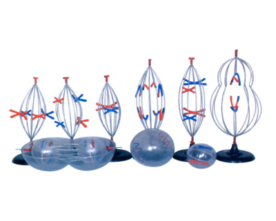 �����нz�p��(sh��)���ѣ�9������