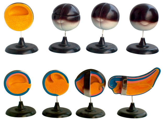 ����̥�l(f��)���^�̣�13���� 