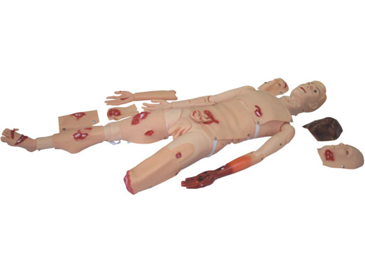 �߼�(j��)��(chu��ng)��ģ��