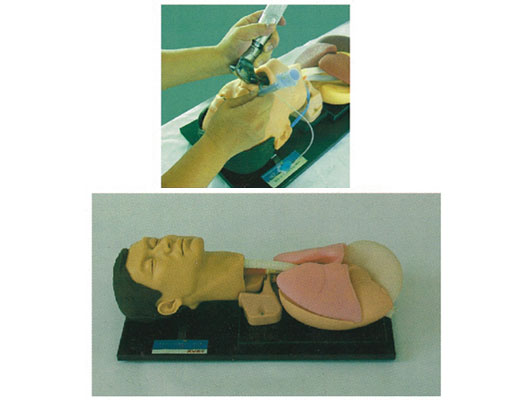 �߼�(j��)��ܲ��Ӗ(x��n)������ģ��