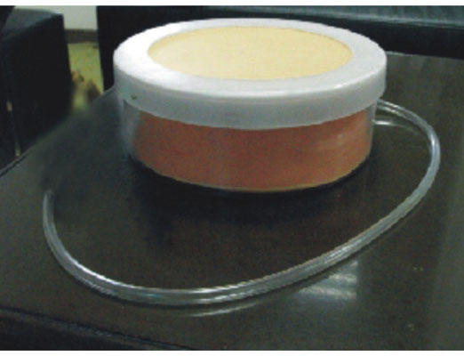 �ʸ����g(sh��)���_�p��ģ��