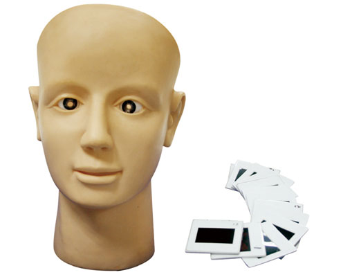 ��ҕ�W(w��ng)Ĥ��׃Ӗ��ģ��