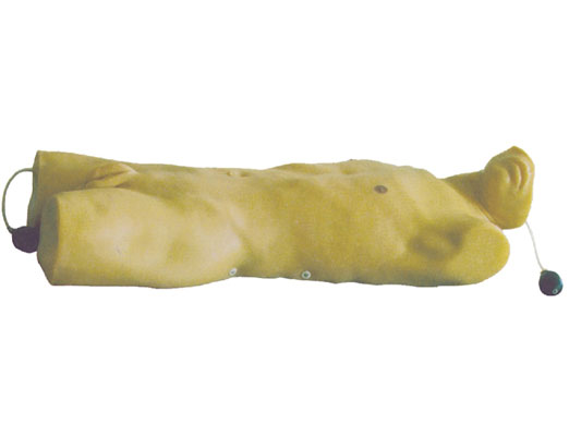 ��ǻ�]ʽ�����g(sh��)Ӗ(x��n)��ģ��