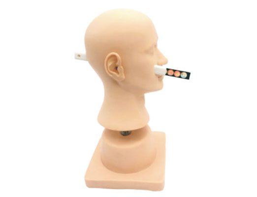 ���贩��Ӗ(x��n)��ģ��