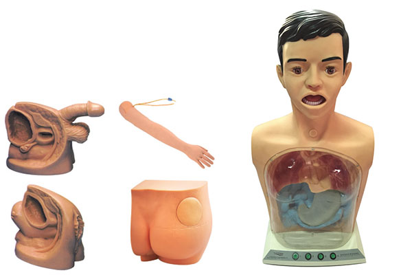 ���ͻ��A(ch��)�o(h��)�팍��(x��)����ģ�ͣ��岿����