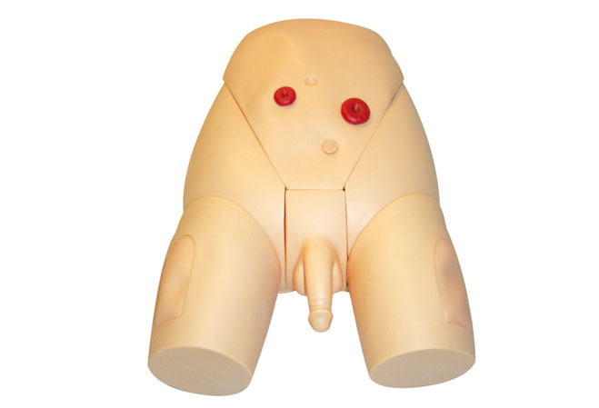 �߼����w���Ԍ���ģ��