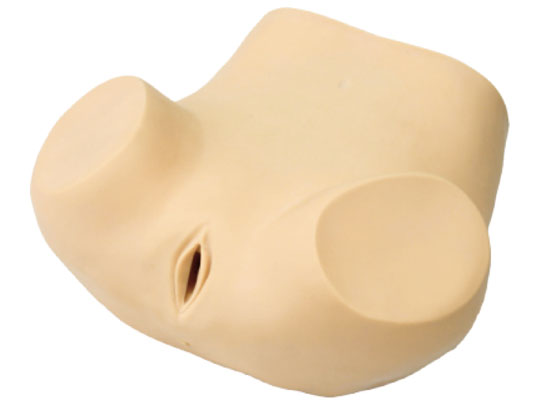 �߼�(j��)�D��Ӗ(x��n)��ģ��