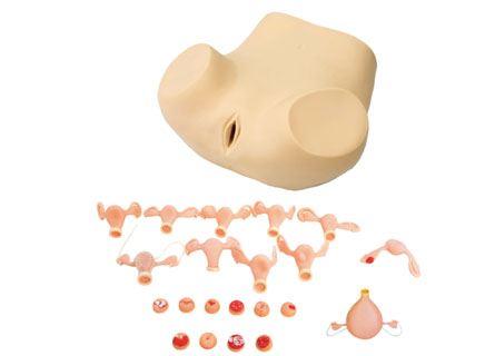 �߼�(j��)�D�ƙz��ģ��