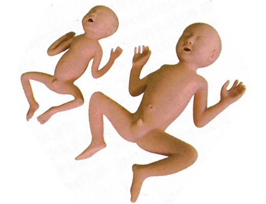 �߼�(j��)24����a(ch��n)��ģ��