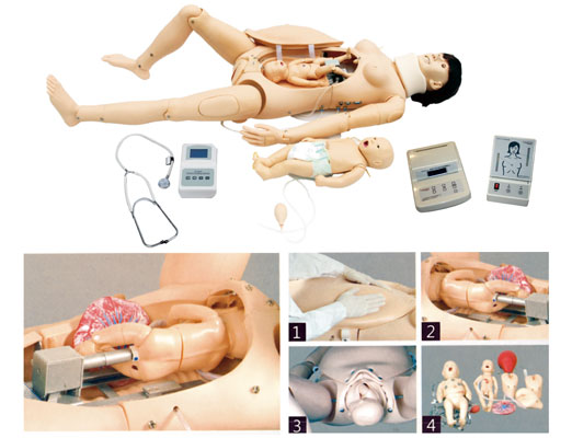 �߼�(j��)�����cĸ�Ӽ���ģ��