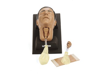 �h(hu��n)��Ĥ���̺����_ģ��