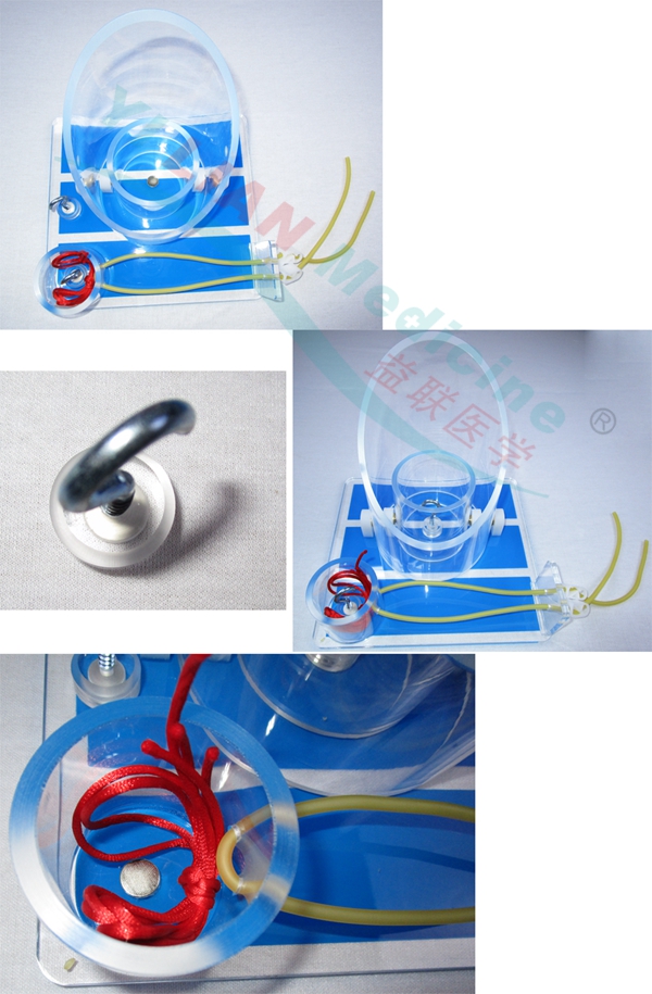 �߼�(j��)�냺�^���C���o�}����ģ��