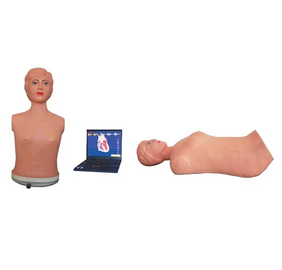 �o���W(w��ng)�j(lu��)��ý�w�ظ����z��̌W(xu��)ϵ�y(t��ng)(�̎��C(j��))